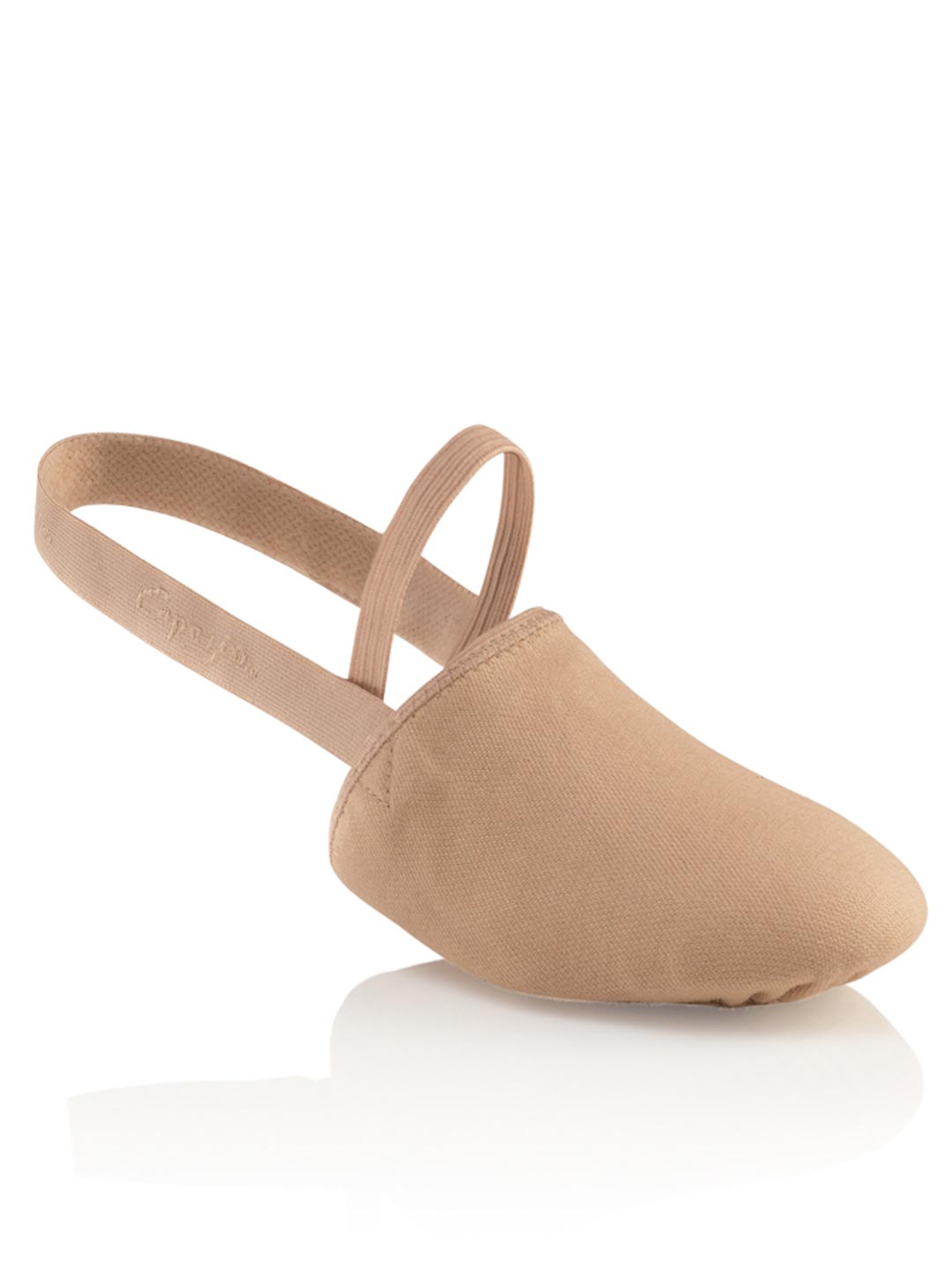 Stretch Canvas Pirouette II Supports Every Turn HO61